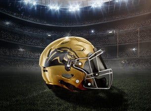 Bay Area Panthers