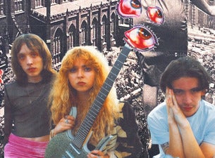 The Velveteers
