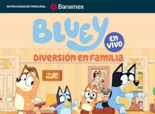 Bluey en Vivo